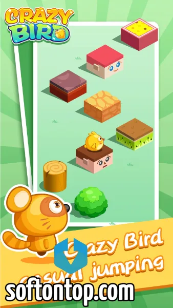 Crazy Bird Earning App APK