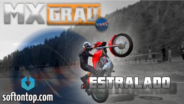 MX Grau