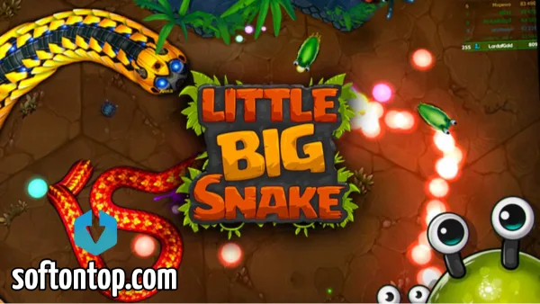 Little Big Snake