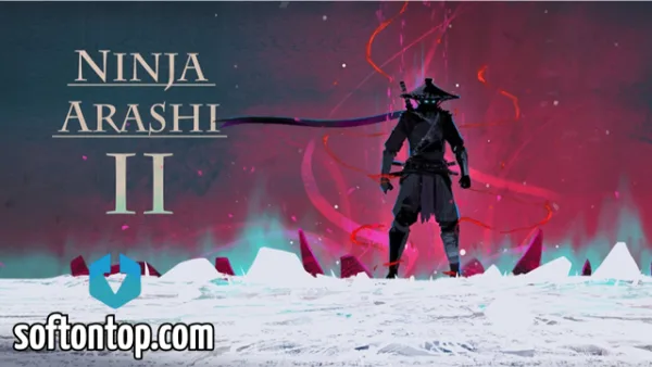 Ninja Arashi 2